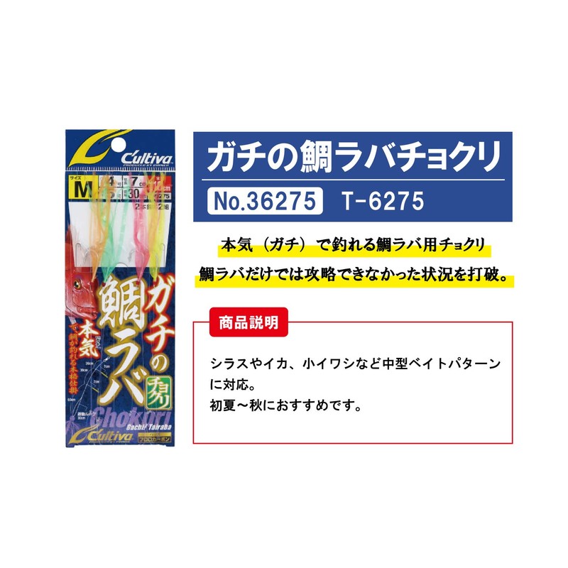 Owner T-6275 Gachi no Sea Bream Lavachocri M No. 36275