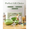 Matcha Whisk Set - 8 Piece Japanese Matcha Tea Set