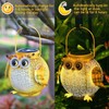 Wishlink 2Pack Outdoor Hanging Solar Lanterns Garden Light Waterproof Metal