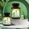 두리농산 Refreshing Variable Aloe Tablet 2 Type A (360 tablets