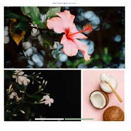 Dresden Essenz Tropical Breeze Cream Scrub 200 ml