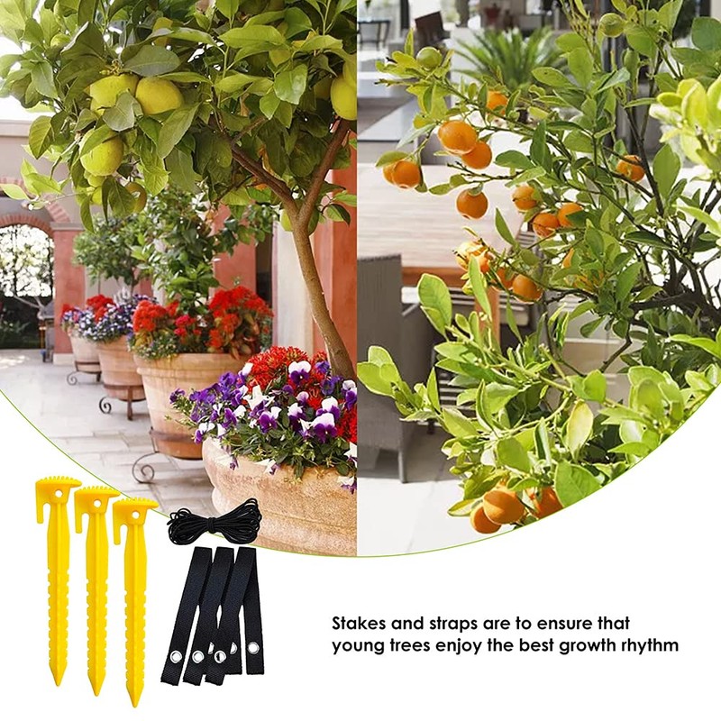 Jetcloud Garden Tree Staking Kit, 3 Tree Stakes + 3