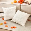 HunnmingRe 2 Pcs Fall Pumpkin Throw Pillow Covers 18x18 Inch
