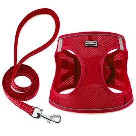Dog Harness with Leash Set, No Pull Adjustable Reflective Step-in Puppy Pet Vest Harnesses for Small Medium Large Dogs and Cats,Red XXS