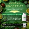 HALEO Multi-Vitamin, Mineral, Vivo, Carefully Selected, Naturally Derived Ingredients, 32