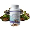 MushroomScience Turkey Tail Mushroom Capsules, Coriolus Super Strength, Natural Mushroom
