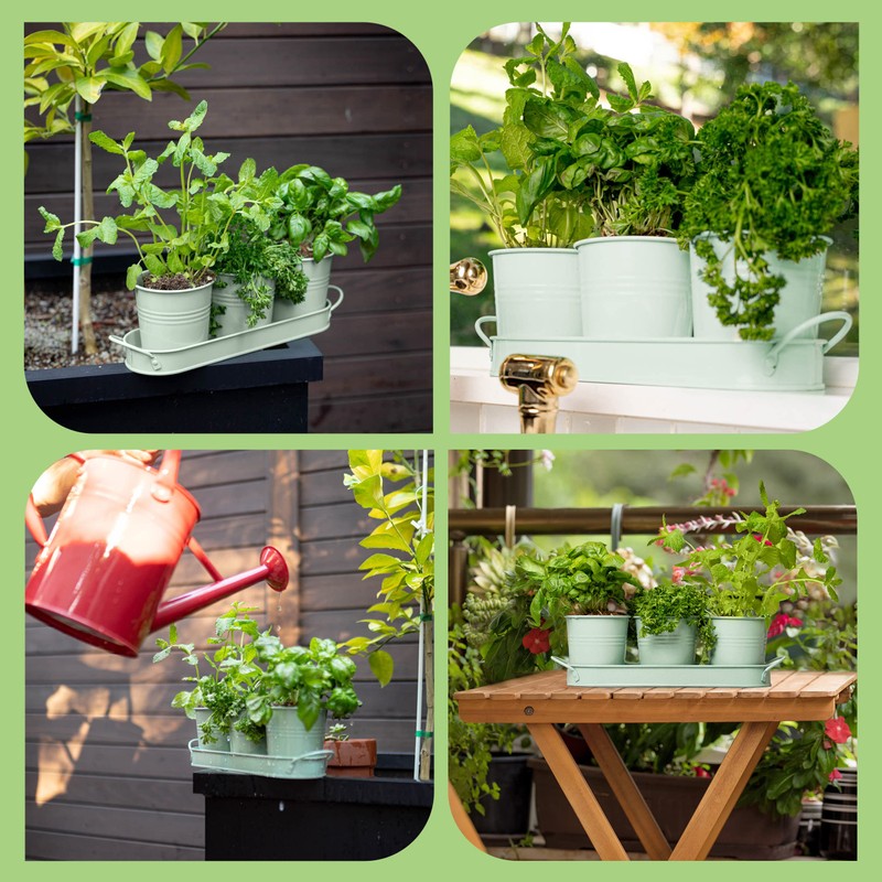 Herb Planter Indoor | Grow Fresh Herbs At Home |