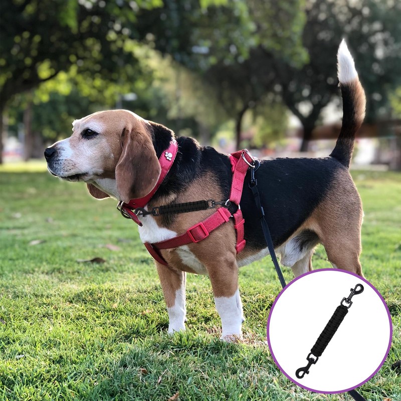 Qianyu Pack of 2 Dog Collar Clips Prong Collar Clamp