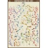 European Royal Family Tree - WEST 24x36" Poster