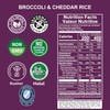 Eat Regal Ready to Eat Broccoli & Cheddar Flavored Rice