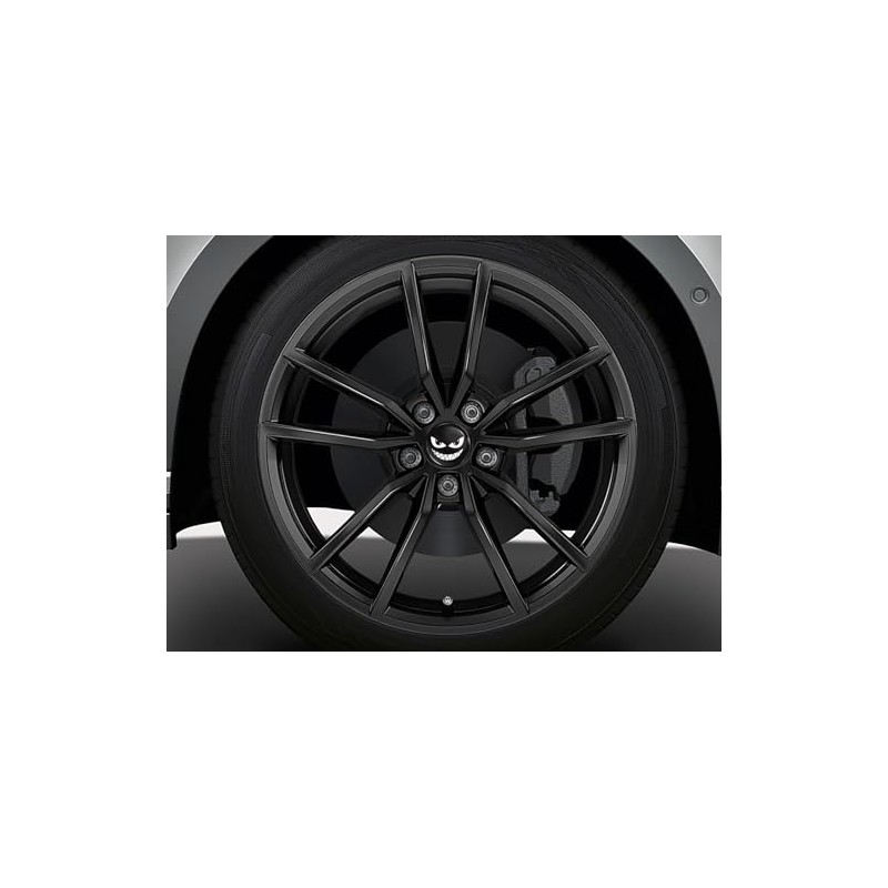 SkinoEu 4 x 60 mm Universal Alloy Wheel Hub Caps