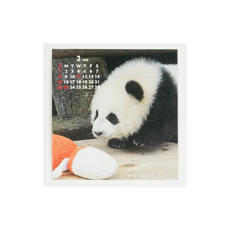 Greeting Life 2026 Calendar Panda FD C-1693-PA