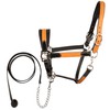 Exion Leather Soft Padded Orange Halter and Leather Lead with