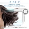 Iris Ohyama HDR-E1-P Moisture Ion Dryer, Negative Ion, Large Airflow,