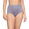 Warner's Women's Pinching No Problems Dig-Free Comfort Waist Microfiber Brief