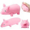 ZMDMAH 2 Stück Schweine Quetschspielzeug, Squishy Squeeze Spielzeug, Kreatives Dekompressions