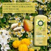 Herbal Essences Acondicionador Brillo Manzanilla & Pasiflora 400 ml