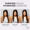 L’Oréal Paris Elvive Hydra Pure, Oil control Scalp serum, 102ml