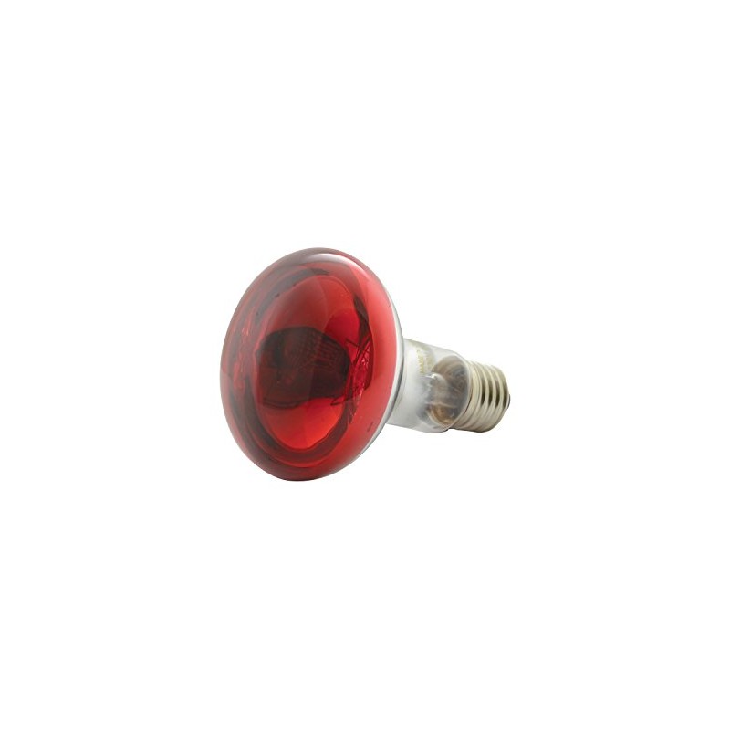 QTX R80 Coloured Reflector Lamps | RED