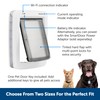 PetSafe SmartDoor Connected Pet Door for Cats and Dogs Installation