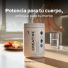 B Life Creatina Monohidratada en polvo de Alta Pureza 600