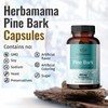 HERBAMAMA Pine Bark Extract Capsules - French Maritime Pine Bark