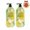 Super Botanic 수퍼보타닉 레몬바디워시 900G x 2개 Super Botanic Lemon Body Wash 900G x [On The Body Super Botanic Lemon Body Wash 900g, 2 pieces/free gift]