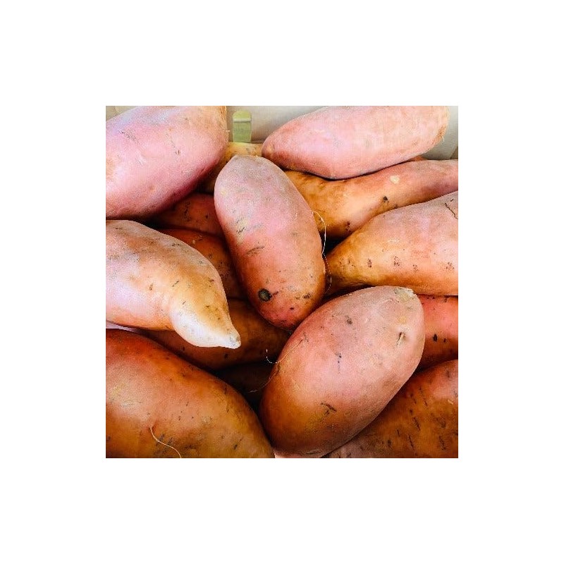 Generic Fresh Sweet Potatoes Yams, USA Grown, NON-GMO, Bulk (10