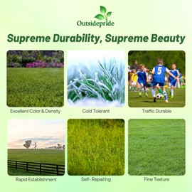 Outsidepride Supreme Kentucky Bluegrass Seed Mix - 25 lbs Cold Tolerant, Fine-Textured w/OptiGrowth Coating for Seed Enhancement, Ideal for Home, Parks, & Athletic Fields