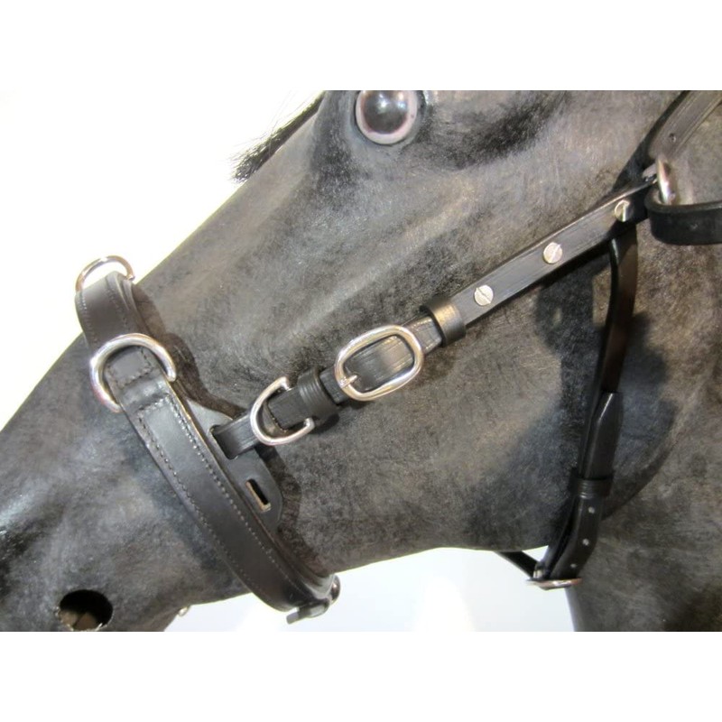 PS Pferdeartikel VARIADO 5-Way Adjustable Leather Cavesson - Anatomically Soft