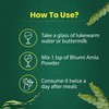 Organic Bhumi Amla Powder - Rich in Antioxidant Vitamin C