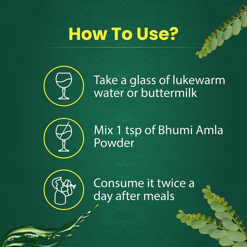 Organic Bhumi Amla Powder - Rich in Antioxidant Vitamin C