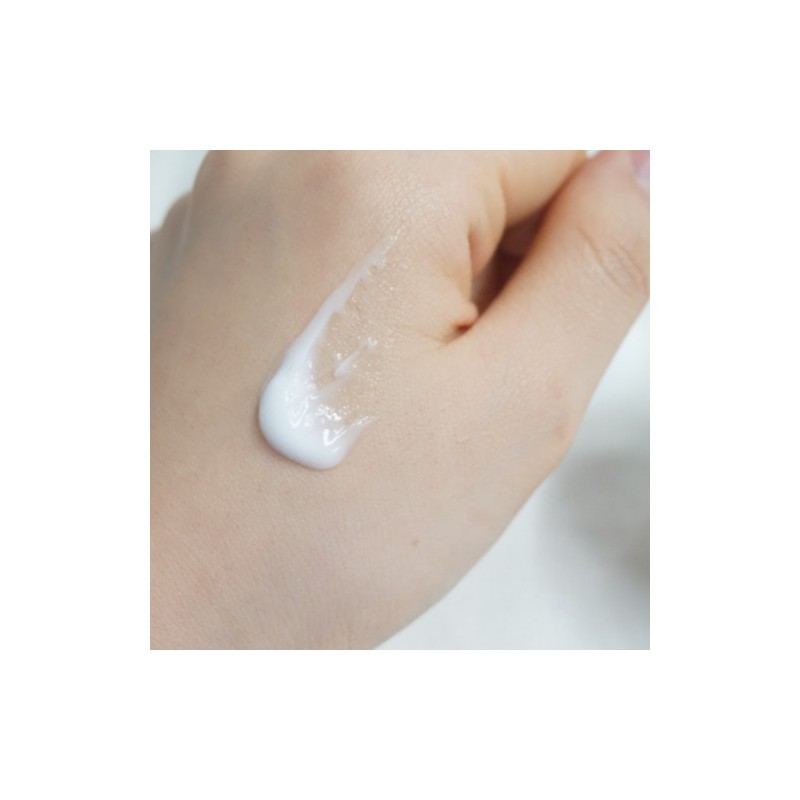 acacia Collagen Horse Oil Cream Squalane Quick Drying Moisture Cream
