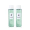 Joseon Beauty 조선미녀 청매실 AHA BHA 토너 150ml 1+1 (C)