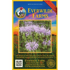 Everwilde Farms - 2000 Wild Bergamot Native Wildflower Seeds - Gold Vault Jumbo Seed Packet