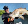 Rapala - Fishing bait BX Skitter Frog Construction balsa/plastic -