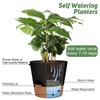 YNNICO 10-Inch Plant Pots, Self-Watering Planters with Drainage Holes &