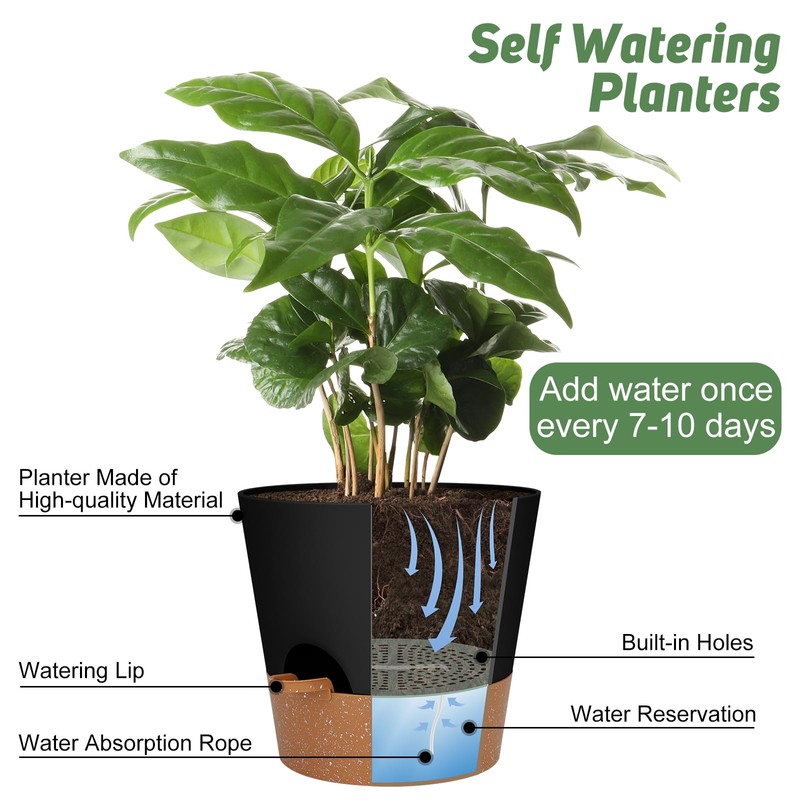 YNNICO 10-Inch Plant Pots, Self-Watering Planters with Drainage Holes &