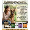 All-in-One Dog Multivitamin Chews 200 Count, Glucosamine Chondroitin Omega 3