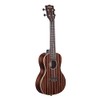 Kala Brand Music Co., 4-String Ukulele, Natural, Concert (KA-EBY-C)