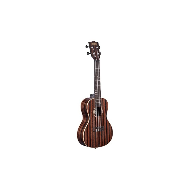 Kala Brand Music Co., 4-String Ukulele, Natural, Concert (KA-EBY-C)