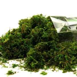 CIICRO Artificial Moss for Potted Plants, Fake Moss for Crafts, 225gr Decorative Green Moss for Table Centerpieces Fairy Gardens Wedding Decor (Fresh Green 8OZ)