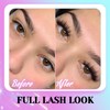 Losha Lashes Fluffy False Eyelashes 5D Volume Eye Lashes Kit