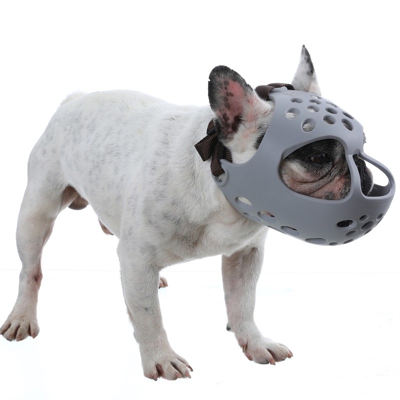 Dog Muzzle for Short Snout Dogs Breathable Holes Prevent Biting