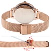 Alienwork SK Minimalist Women's Ultra Flat Elegant Watch, Rose Gold/White/Mesh