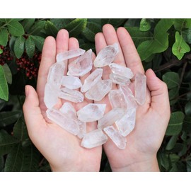 Clear Quartz Points Crystal Collection 1/2 Lb (8 oz) Natural Specimens in Box