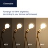 FLSNT Globe LED Large Edison Bulbs, 2700K Soft White, Dimmable,