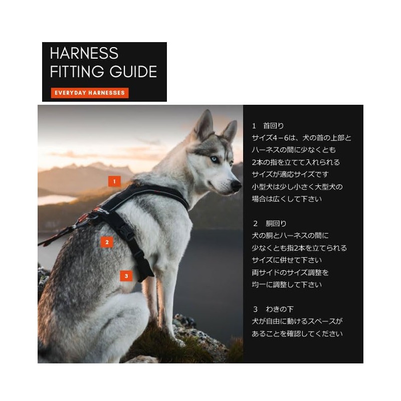 Non-stop dogwear Line Harness 5.0 |214| Guide and Everyday Harness,