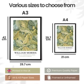 State Media Vision William Morris Set of 3 Art Prints - Acanthus, Honeysuckle, Pimpernel - Famous Artist Pictures Available in a Variety of Sizes (Set 7, A4 Print Only)