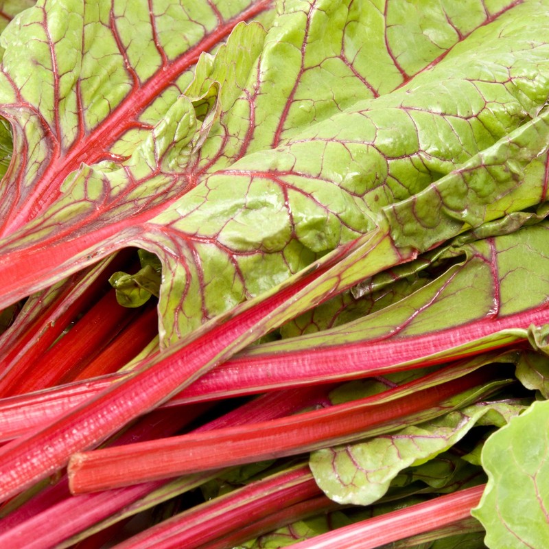 Outsidepride Outsidepride 1000 Seeds Beta Vulgaris Red Swiss Chard Vegetable